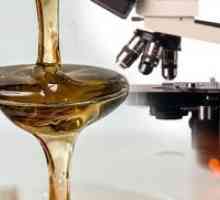 Како да се провери за природен мед?