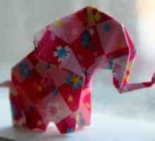 Како да се направи хартија од слон?