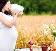 Како да се создаде исхрана за бремени