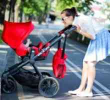 Како да се избере еден шетач за бебето?