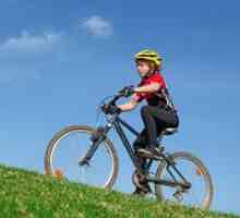 Како да се избере велосипед за еден тинејџер?