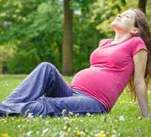 Што тестови помине во текот на бременоста