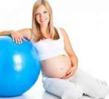 Што вежби може да се направи бремена?