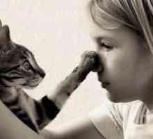 Што мирис одвраќа мачки?