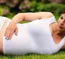 Кои се шансите за забременување со дрозд