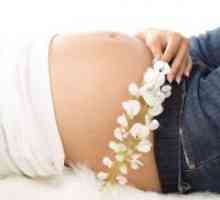 Coleitis за време на бременоста - Третман