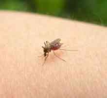 Каснување од комарец