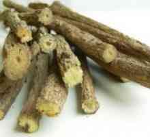 Тасев биле корен - лековити својства и контраиндикации