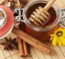 Цимет и мед - корисни својства и контраиндикации