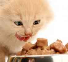Храна за мачки кастрирате