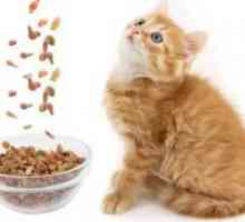Сточна храна за мачки Феликс