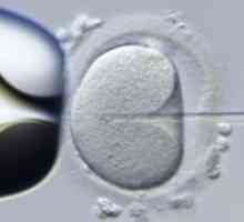 На ембриони