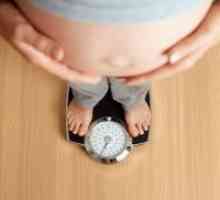 Вишокот тежина за време на бременоста