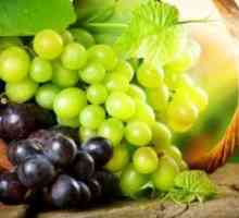 Најдобрите сорти на грозје
