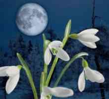 Лунарниот календар градинар