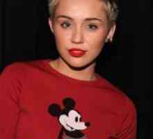 Шминка Miley Cyrus