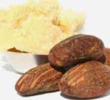 Какао путер - Својства и апликации