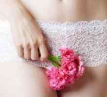 Menstruatsionny циклус по породувањето