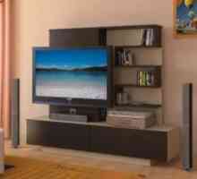 Рамен екран телевизор во дневната соба