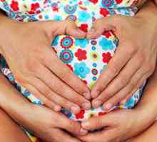 Матката fibroids и бременоста
