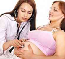 Мека грлото на матката за време на бременоста