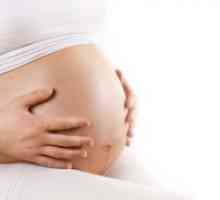 Полихидроамнион во текот на бременоста - Причини