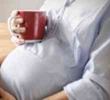Може ли бремена чај со мајчина душица?