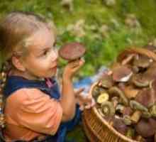 Дали е можно да печурки деца?
