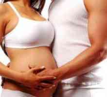 Дали е можно да се запре текот на бременоста?