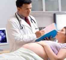 Развивање на бременоста - причини и последици