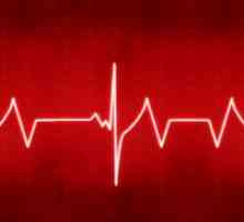 Нормално човечко срце стапка во последните 40 години