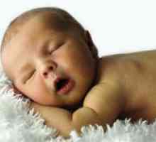 Новороденче грчеви во сон