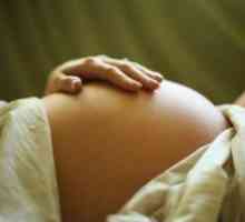 Плацентарна абрупција во почетокот на бременоста