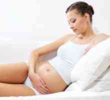 Недостатокот на токсичност за време на бременоста