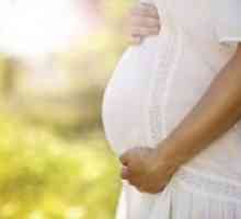 Панкреатин во бременоста
