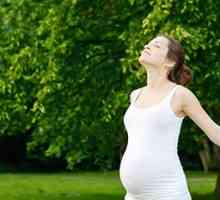Папилома за време на бременоста