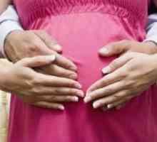 Првиот мешање на фетусот за време на бременоста