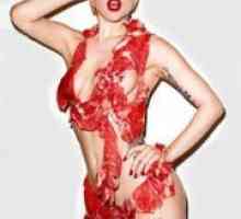 Месо фустан Лејди Гага