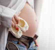 Фетус 18 недели од бременоста