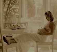 Фетус 24 недели од бременоста