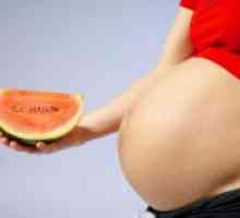 Зошто бремените жени не треба да се јаде лубеница и диња?