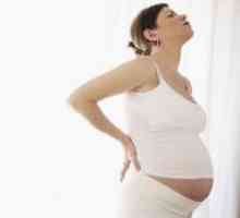 Зошто бремените жени не можат да седат?