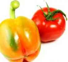 Fertilizing садници на домати и пиперки