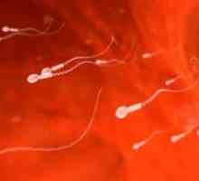 Сперма подвижност