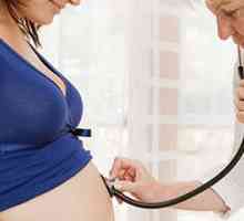 Регистрација на бременост: важни точки
