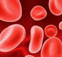 Зголемување на црвени крвни клетки во крвта