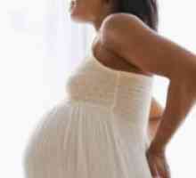Предвремено породување - Причини