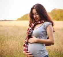 Причините за спонтан абортус во раната бременост