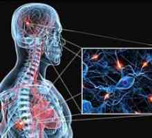 Симптоми на мултиплекс склероза