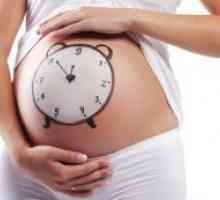 Пресметување на времетраењето на бременоста